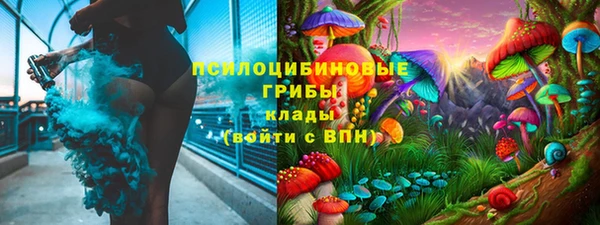 бошки Осинники