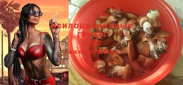 индика Остров