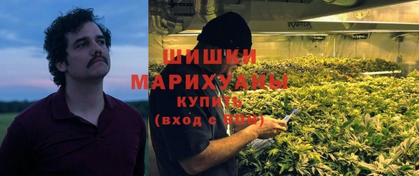 бошки Осинники