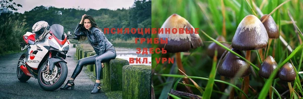 индика Остров