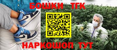 прущие грибы Кингисепп