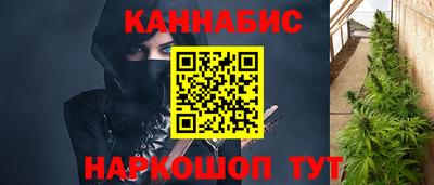 прущие грибы Кингисепп