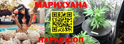прущие грибы Кингисепп