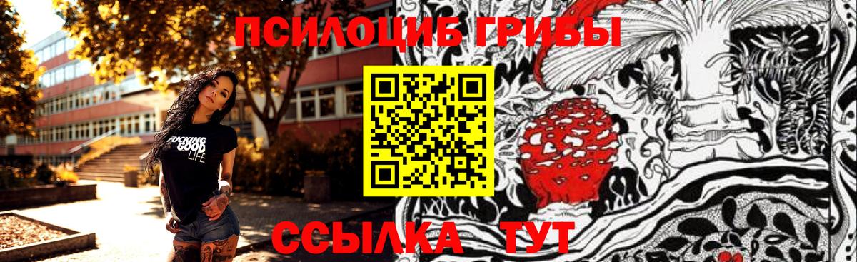 Галлюциногенные грибы Psilocybe  Галлюциногенные грибы Magic Shrooms  Вход с VPN  Черногорск 