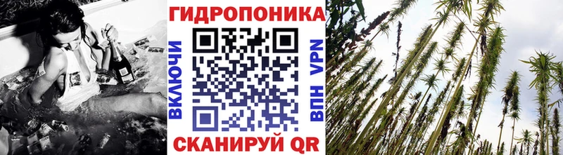Бошки марихуана Bruce Banner  Черногорск 